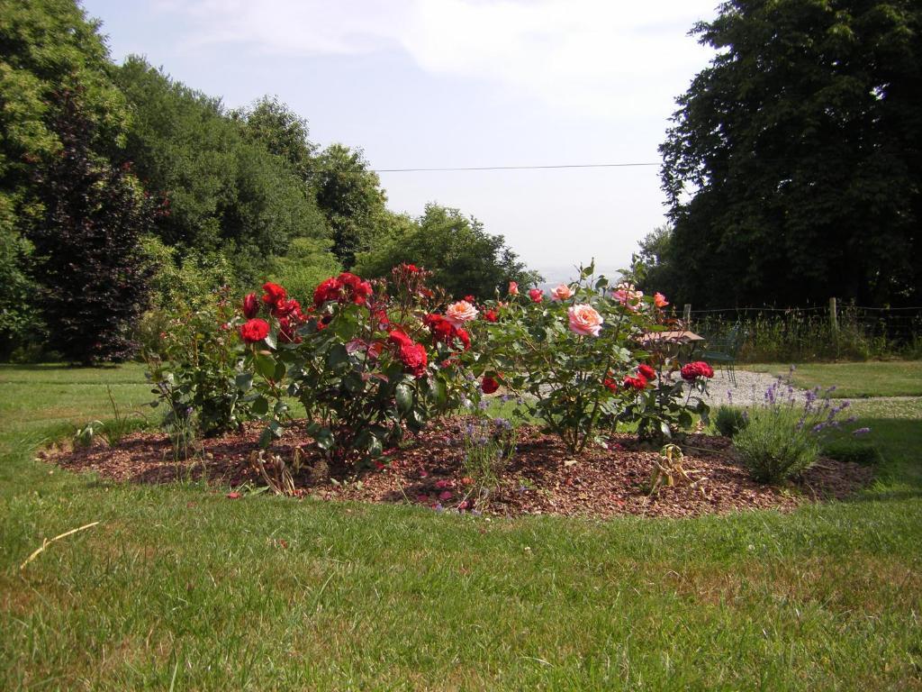 La Cloue Bed and Breakfast Sainte-Marie-du-Bois  Εξωτερικό φωτογραφία